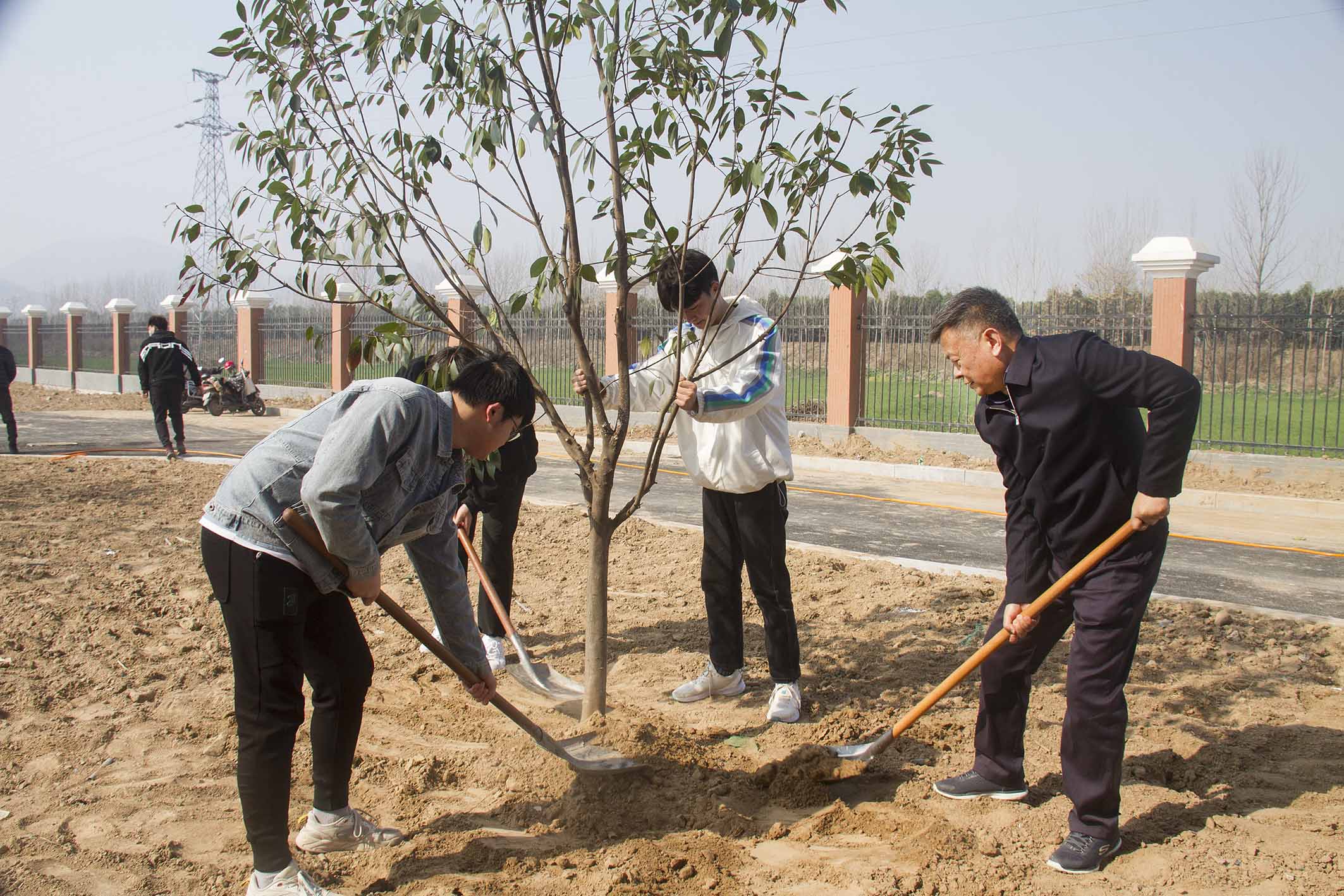 1647223002468573.jpg 2.jpg