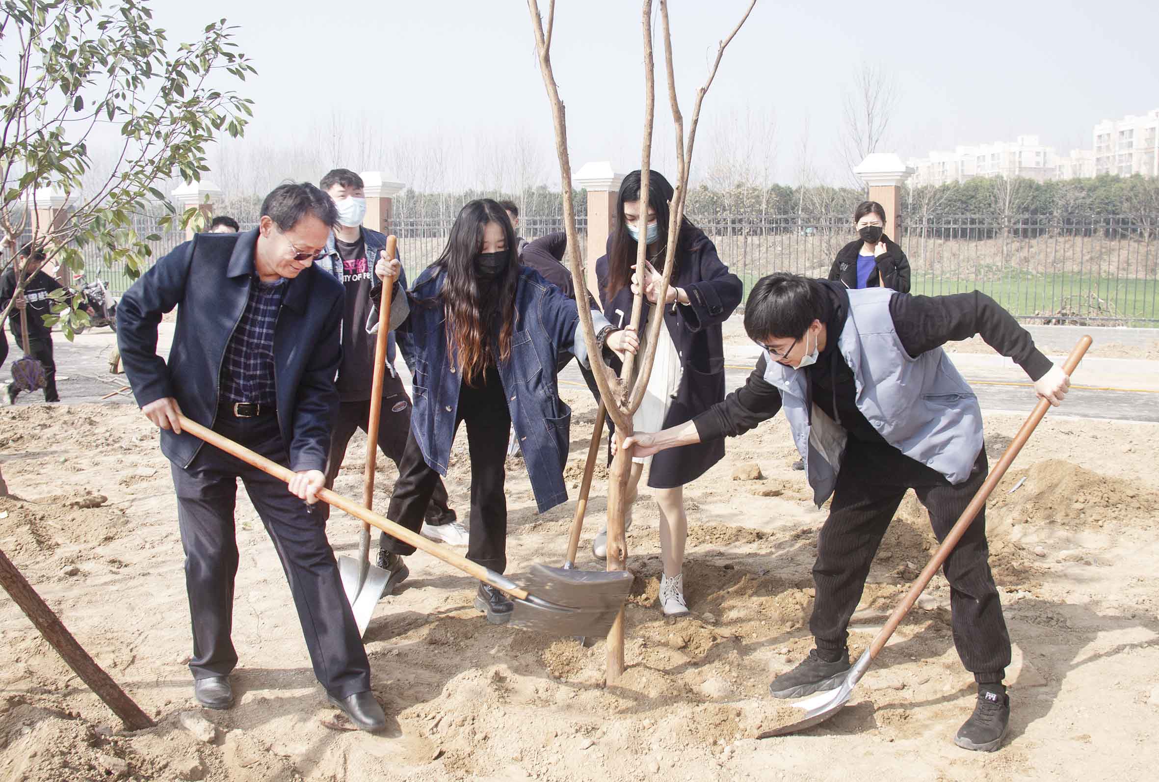 1647222229133725.jpg 12.jpg