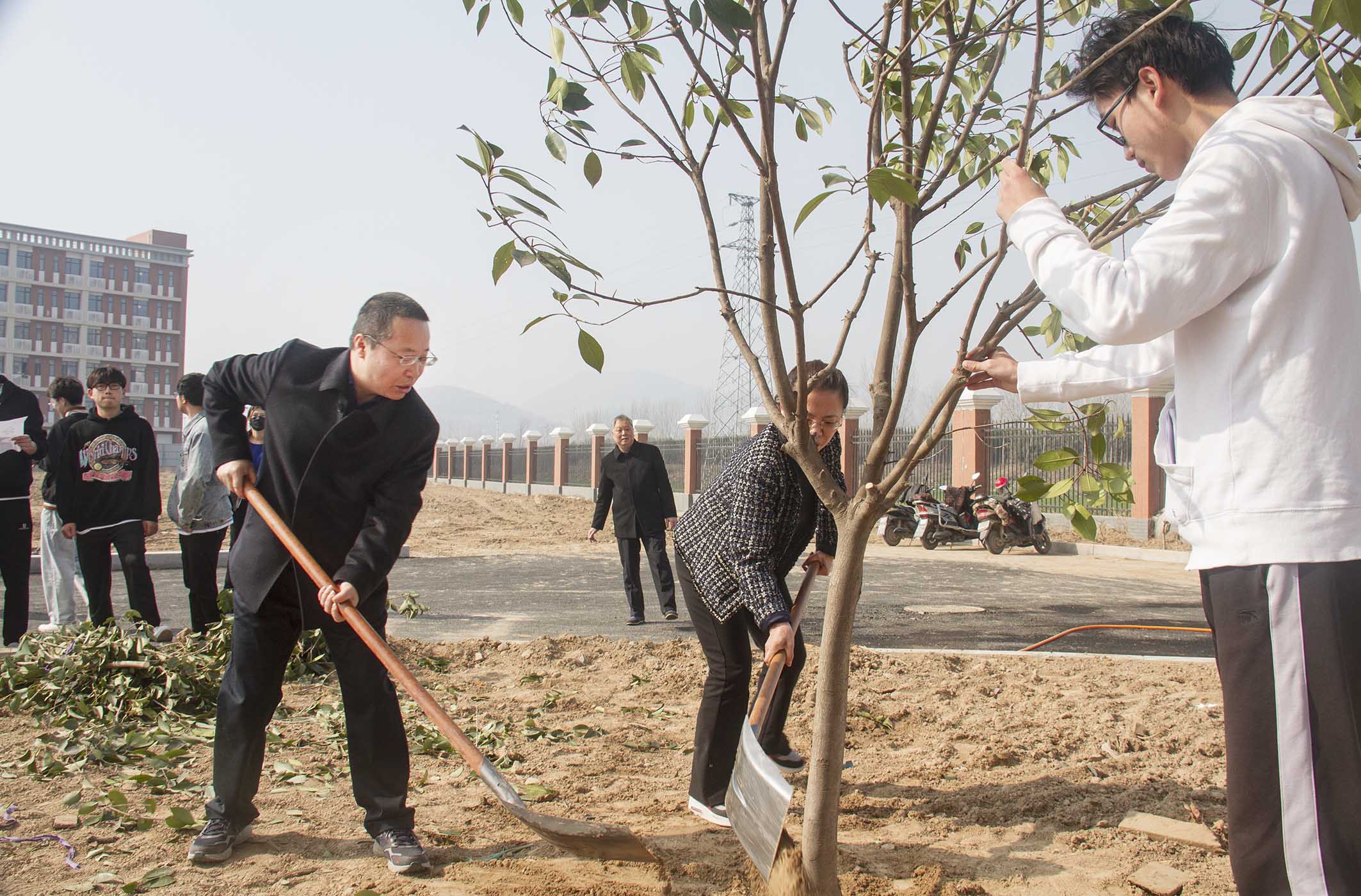 1647222127119856.jpg 4.jpg